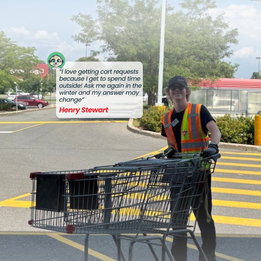 I love shopping carts